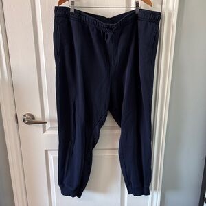 Goodfellow & Co Dark Blue Joggers